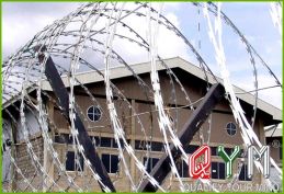 Concertina razor barbed wire mesh