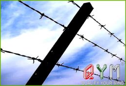 Barbed razor wire galvanizd