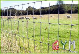 Farm wire mesh fence