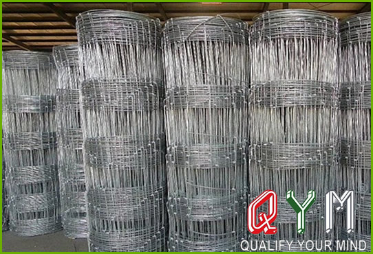 Horse wire mesh fence